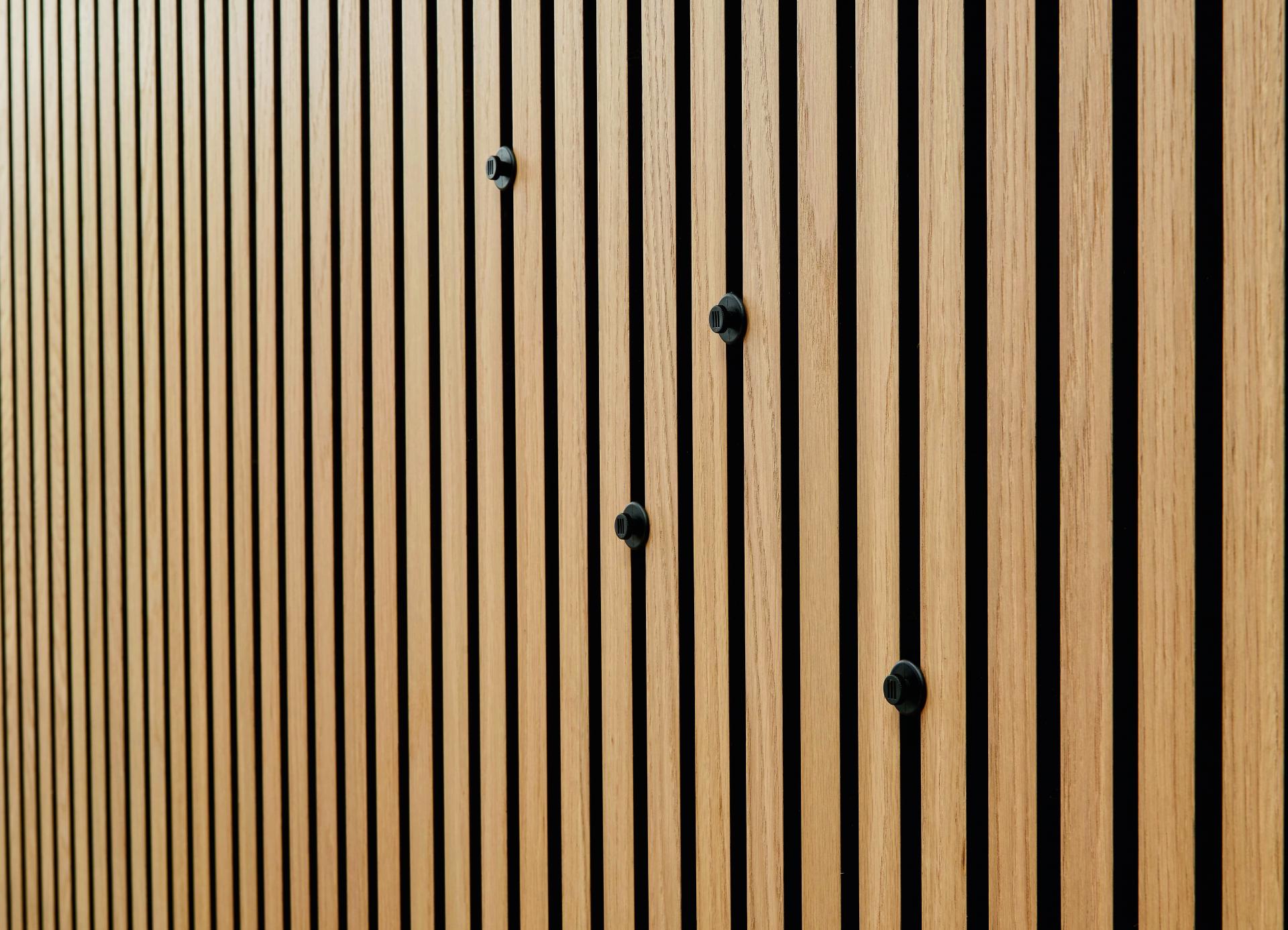 Bild Oberfläche / Detail Kunstoffknopf Schwarz Silent Design ter Hürne