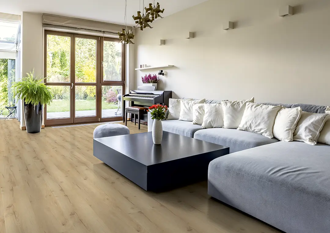 Wohnzimmer, Holzboden, Sofa, Couchtisch, Zimmerpflanze