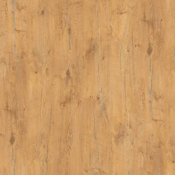 Bild Oberfläche / Detail Beschichtete Spanplatte beidseitig Pale Lancelot Oak (Eiche) Pfleiderer