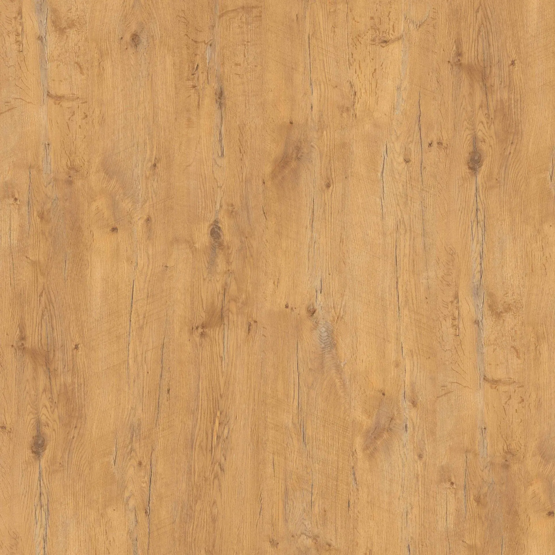 Bild Oberfläche / Detail Beschichtete Spanplatte beidseitig Pale Lancelot Oak (Eiche) Pfleiderer