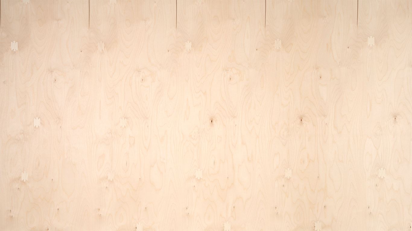 Bild Oberfläche / Detail Laubsperrholz (Multiplex) Birke europäisch