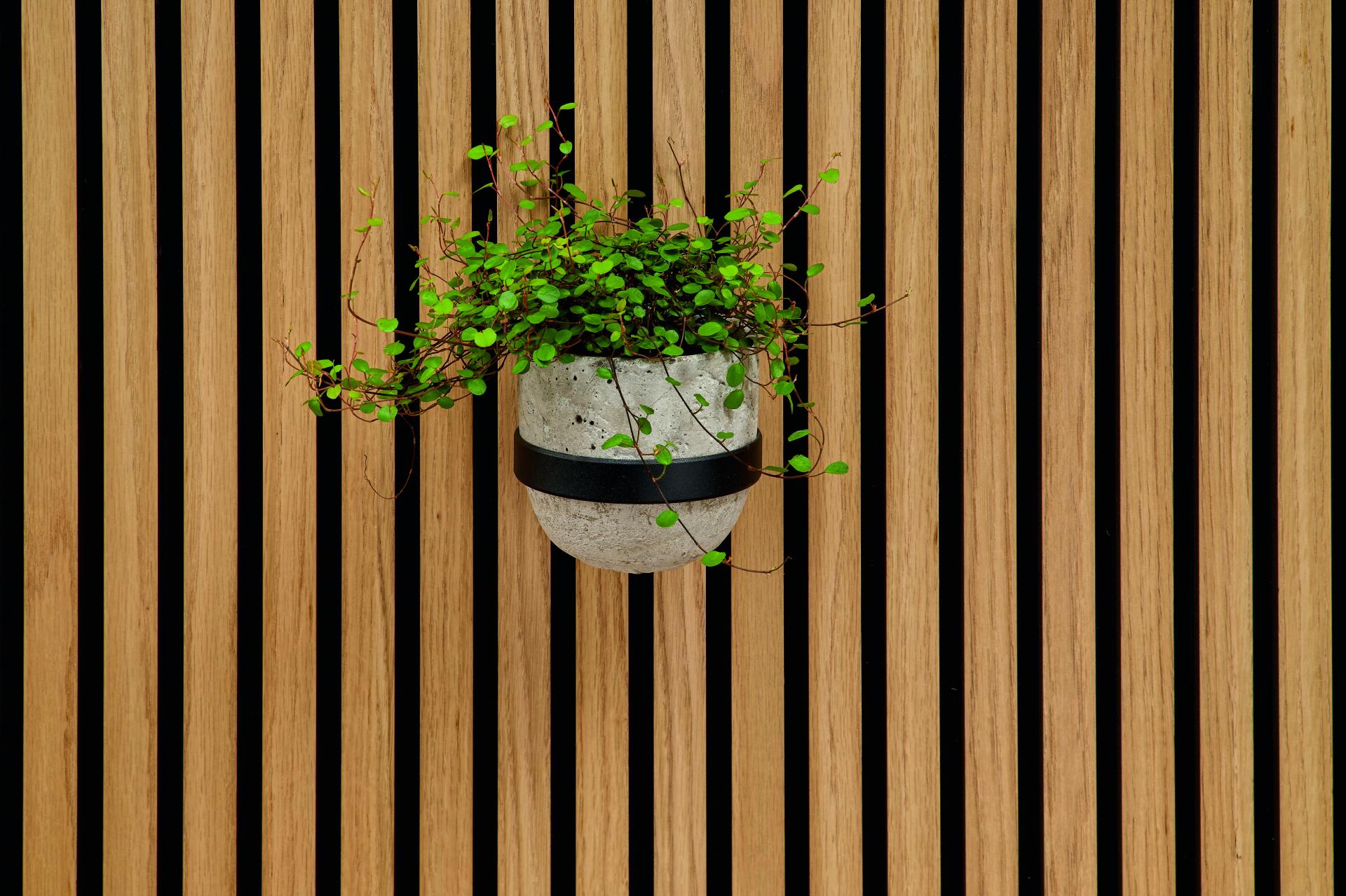 Bild Ambiente Blumentopfring Schwarz pulverbeschichtet