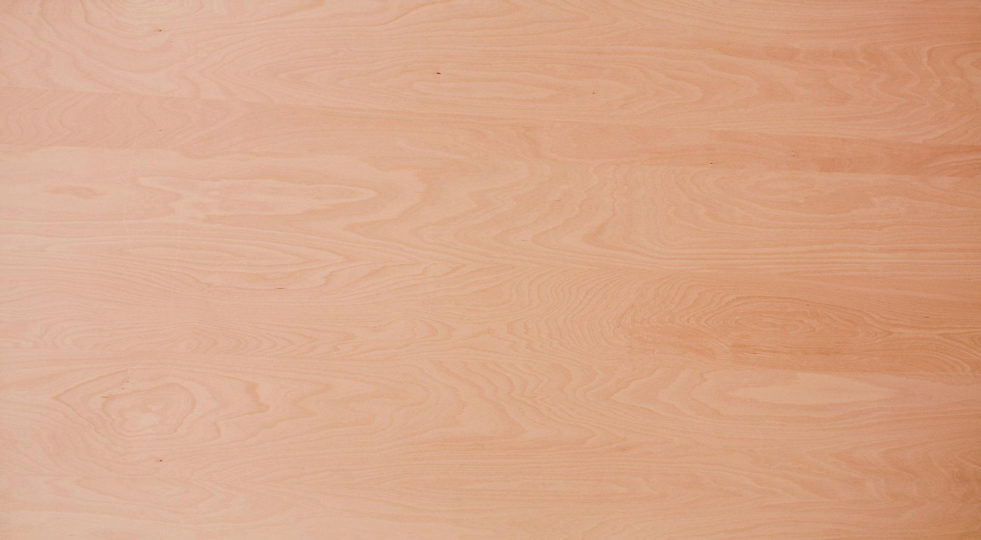 Bild Oberfläche / Detail Laubsperrholz Buche europäisch