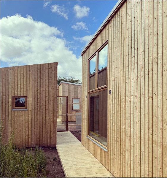 Bild sonstiges Terrassenbelag Kiefer schwedisch Holz Glatt / Glatt Organowood