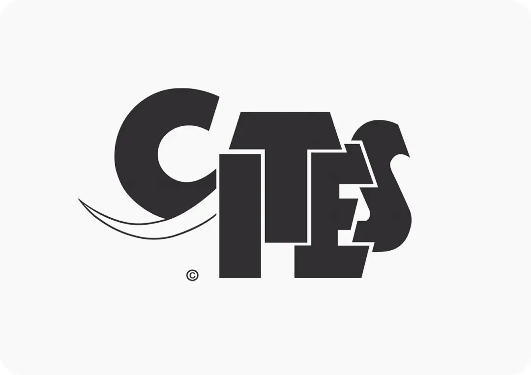 Cites