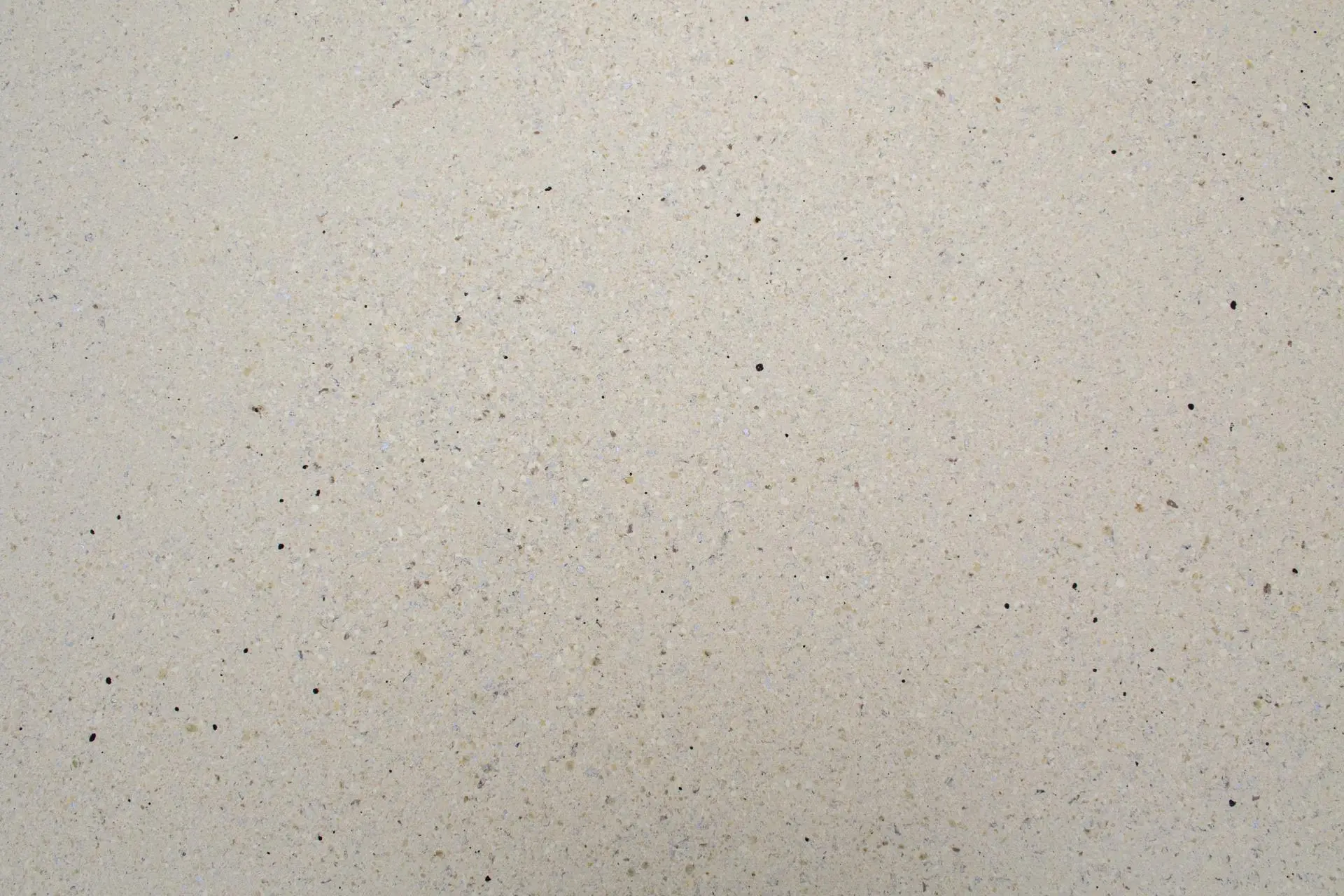 Bild Oberfläche / Detail Allzweckplatte Polyurethan ungeschliffen formaldehydfrei Bauder