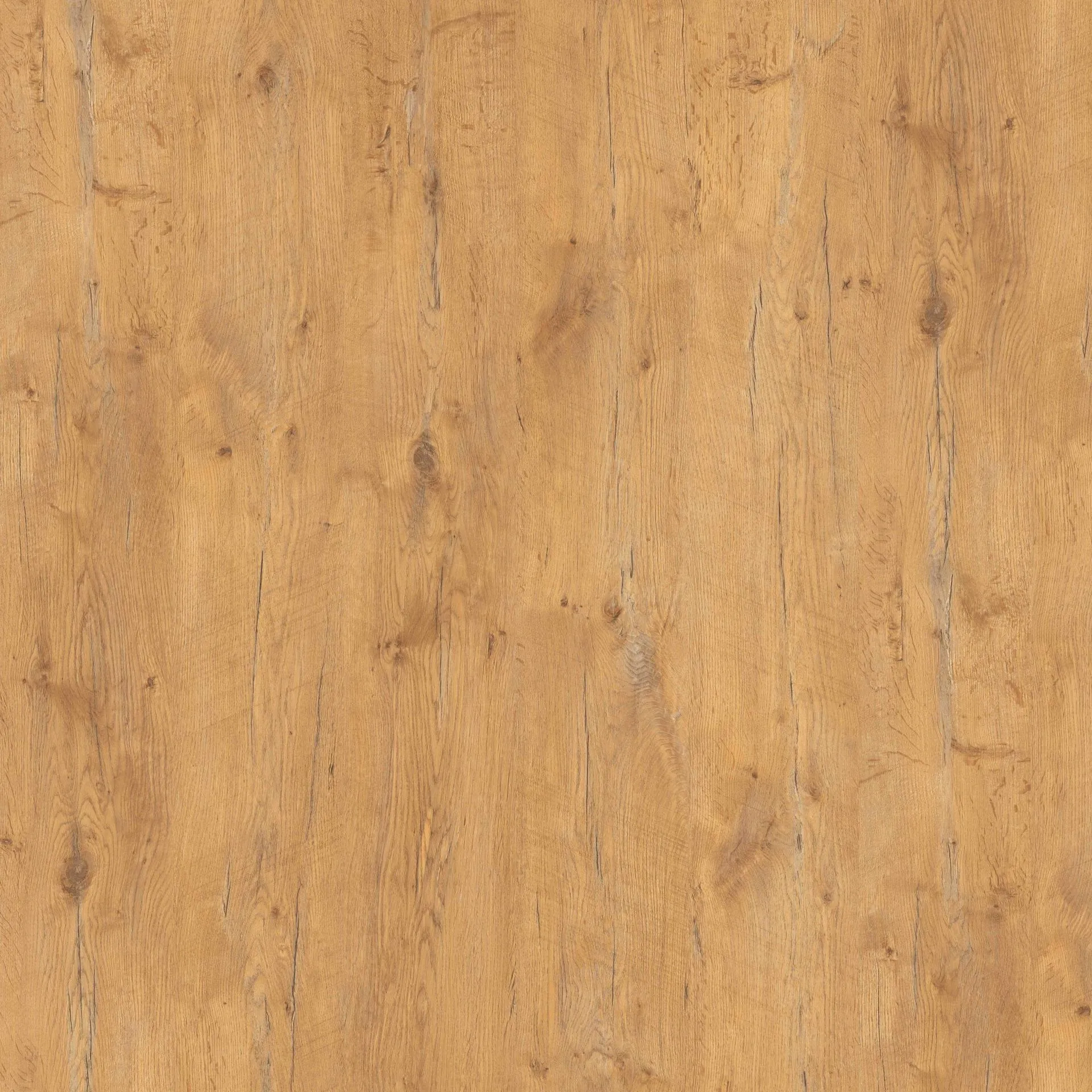 Bild Oberfläche / Detail Beschichtete Spanplatte beidseitig Pale Lancelot Oak (Eiche) Pfleiderer