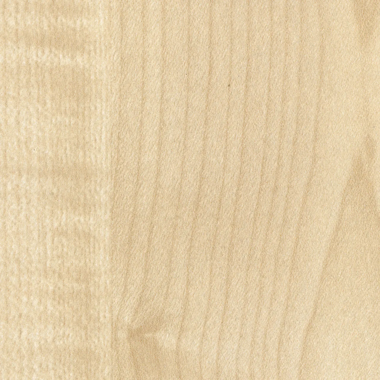 Bild Oberfläche / Detail Beschichtete Spanplatte beidseitig Ahorn natur Swiss Krono