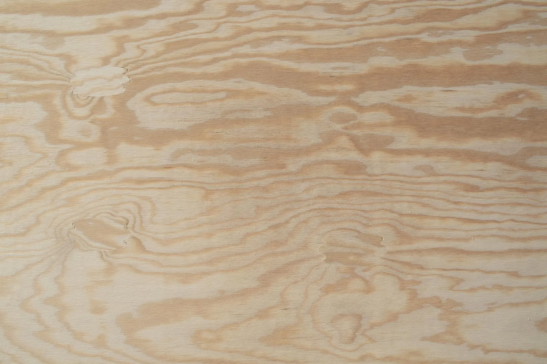 Bild Oberfläche / Detail Nadelsperrholz Seekiefer europäisch beidseitig geschliffen