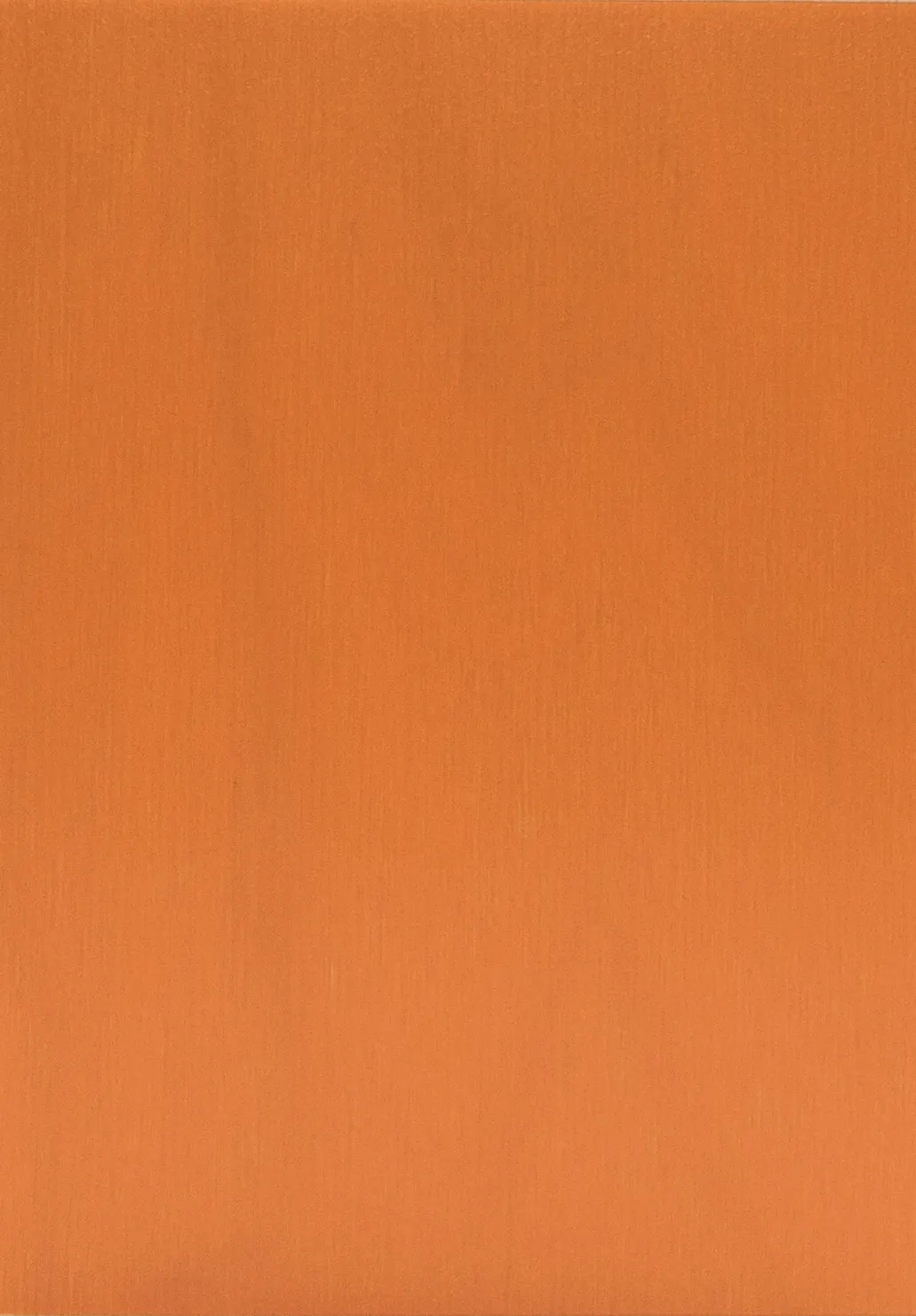 Bild Oberfläche / Detail Laubsperrholz (Multiplex) Birke europäisch orange beidseitig lackiert S-Box Color
