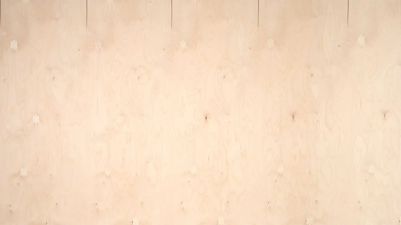 Bild Oberfläche / Detail Laubsperrholz (Multiplex) Birke europäisch