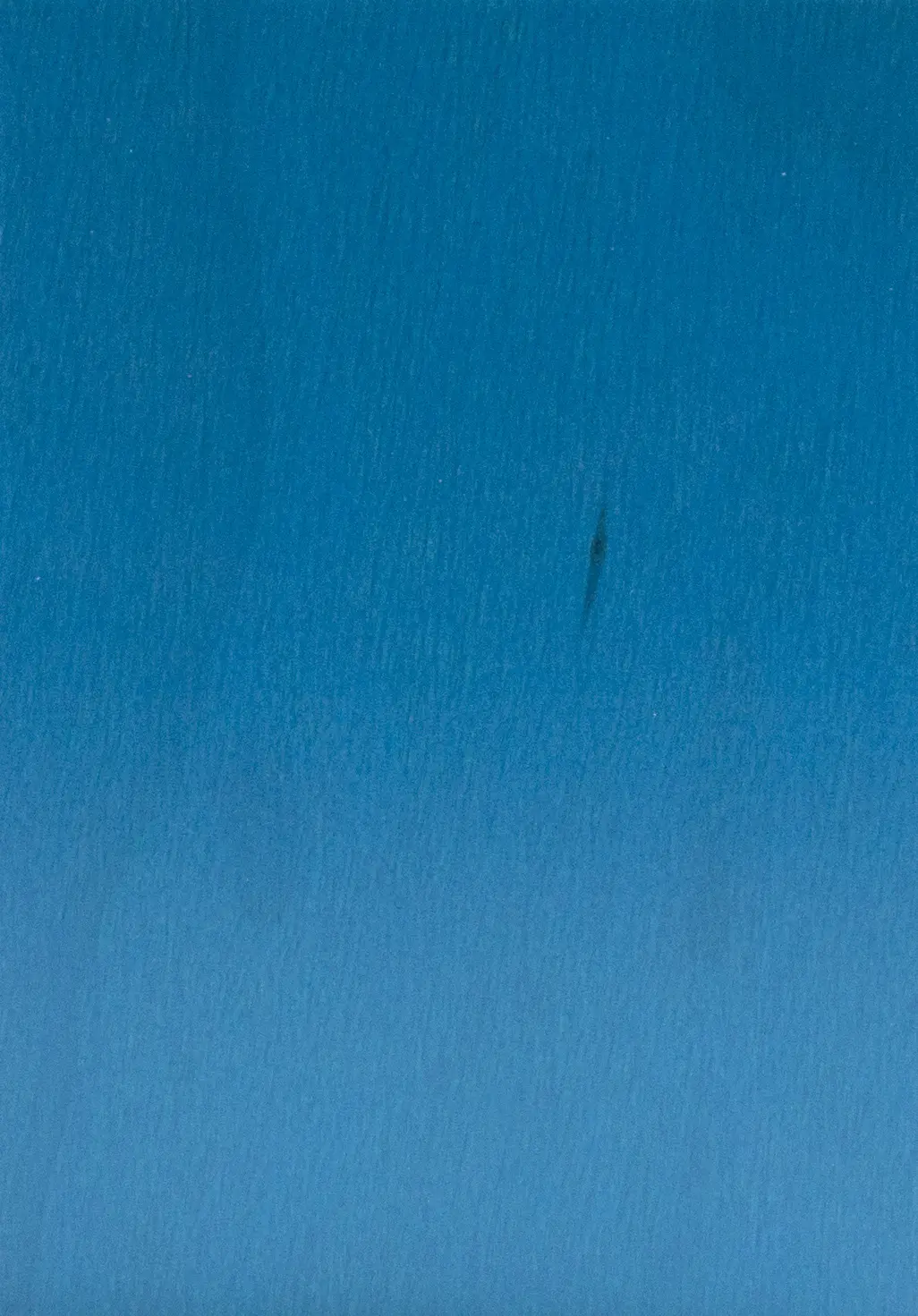 Bild Oberfläche / Detail Laubsperrholz (Multiplex) Birke europäisch blau beidseitig lackiert S-Box Color