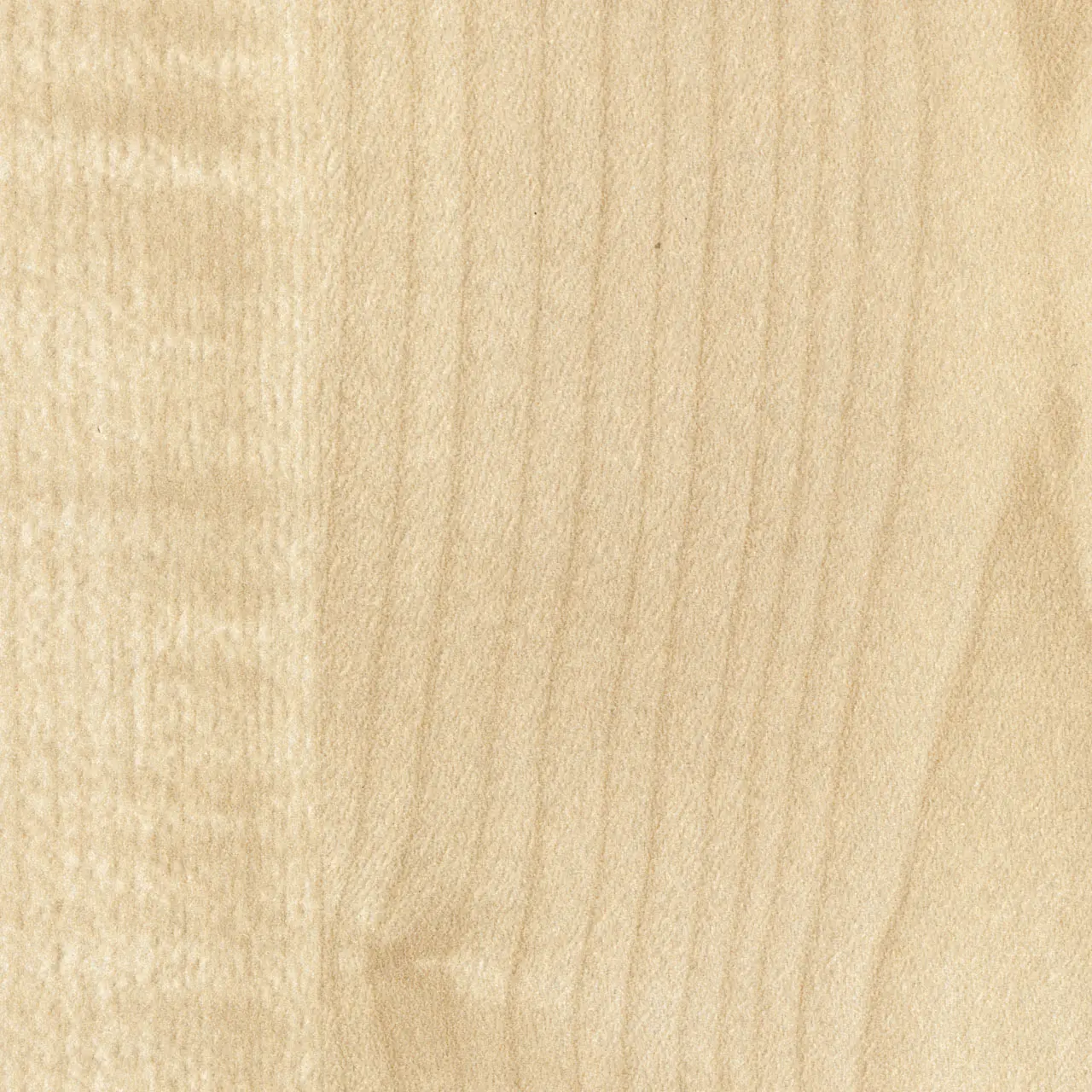 Bild Oberfläche / Detail Beschichtete Spanplatte beidseitig Ahorn natur Swiss Krono