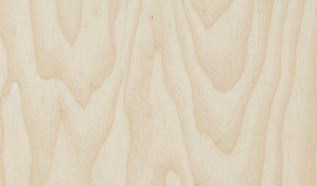 Holzmuster Birke, Farbe und Struktur Birke