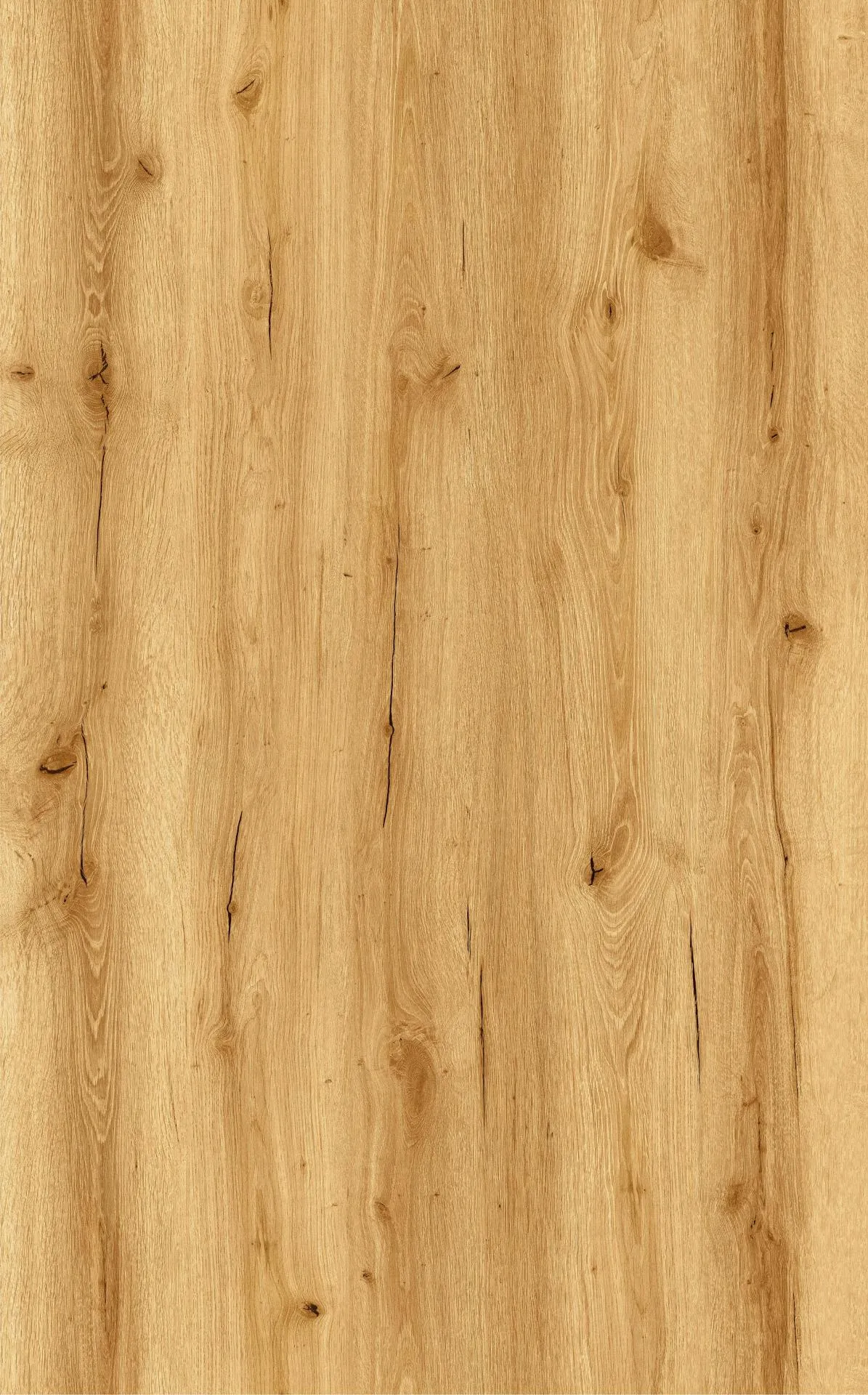 Bild Oberfläche / Detail Vinylboden Eiche Palazzo Nuevo light Landhausdiele Natura Flooring
