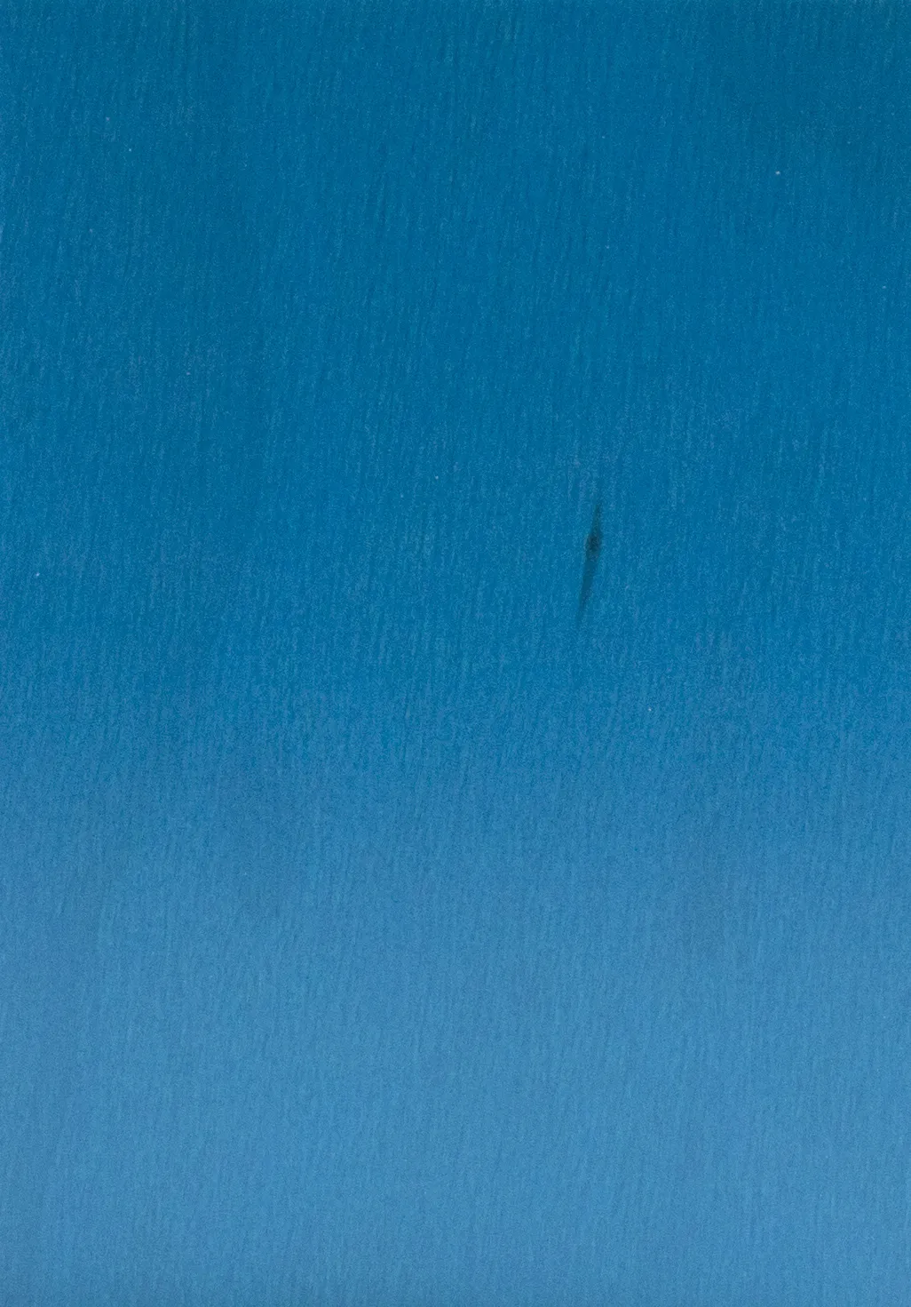 Bild Oberfläche / Detail Laubsperrholz (Multiplex) Birke europäisch blau beidseitig lackiert S-Box Color