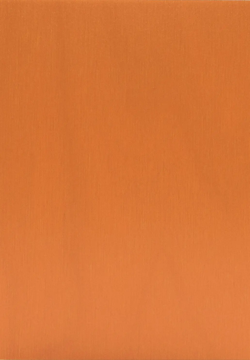 Bild Oberfläche / Detail Laubsperrholz (Multiplex) Birke europäisch orange beidseitig lackiert S-Box Color
