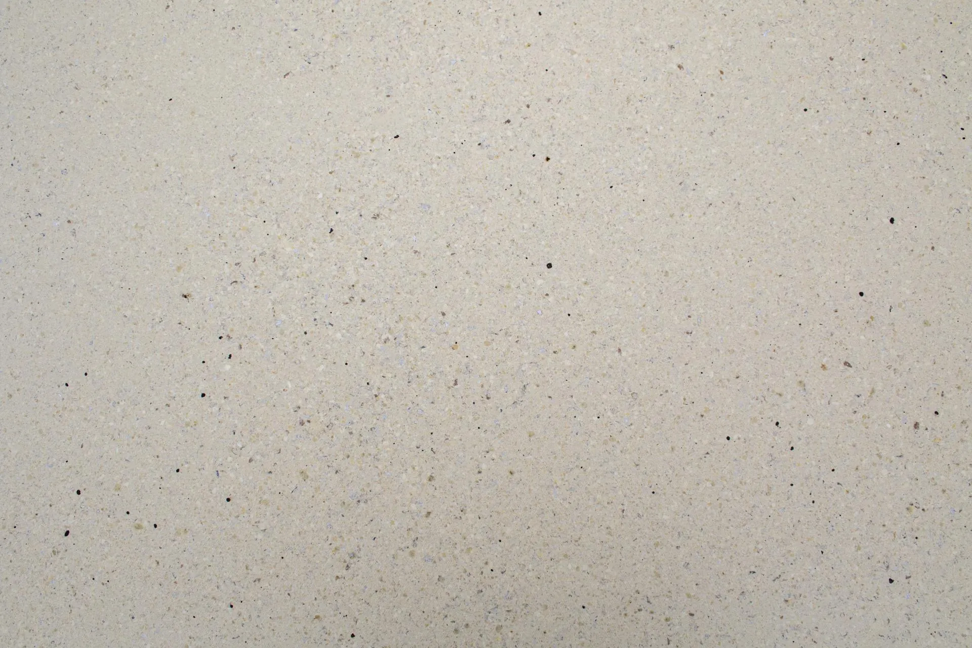 Bild Oberfläche / Detail Allzweckplatte Polyurethan ungeschliffen formaldehydfrei Bauder
