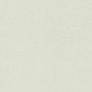 Bild Oberfläche / Detail Beschichtete Spanplatte beidseitig Grau ähnlich NCS S1502-G50Y Swiss Krono