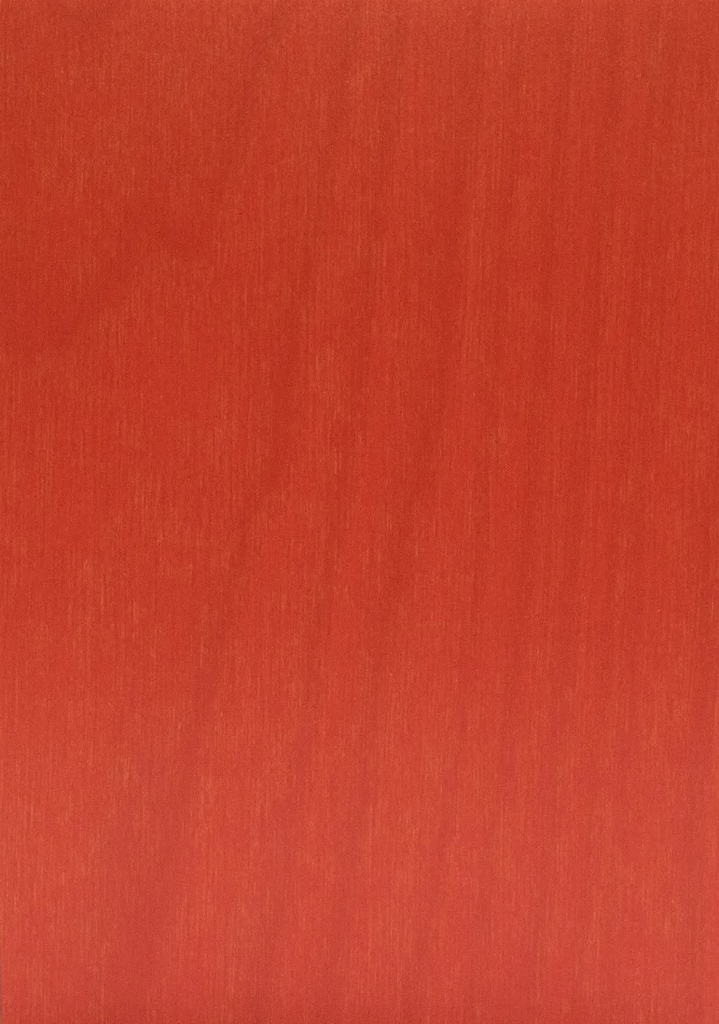 Bild Oberfläche / Detail Laubsperrholz (Multiplex) Birke europäisch rot beidseitig lackiert S-Box Color