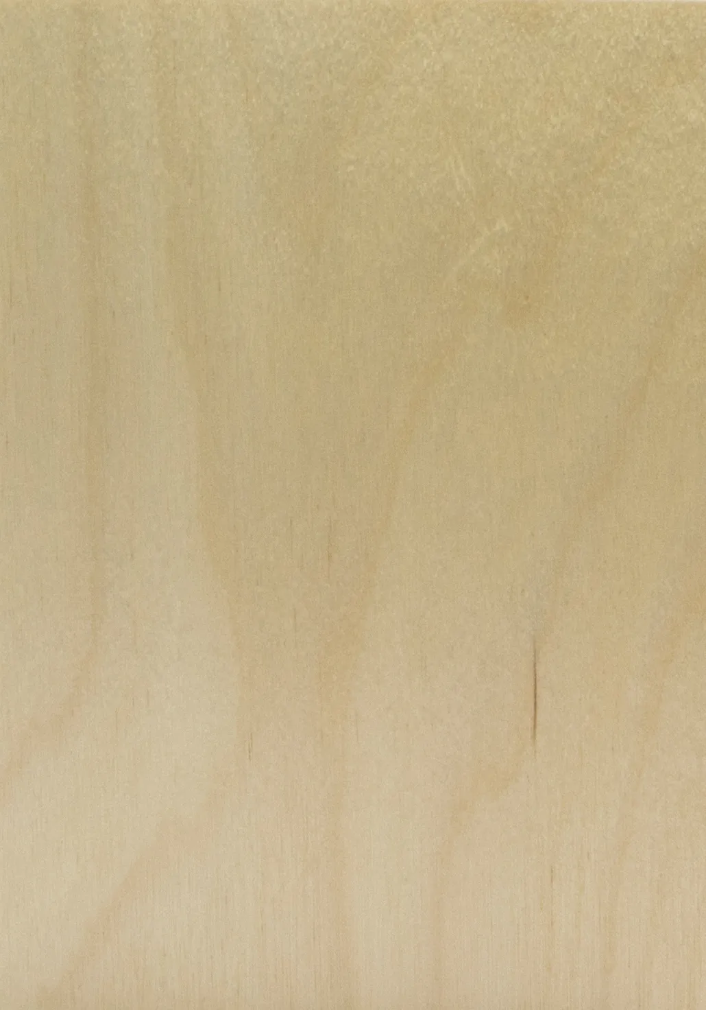 Bild Oberfläche / Detail Laubsperrholz (Multiplex) Birke europäisch transparent beidseitig lackiert S-Box Color
