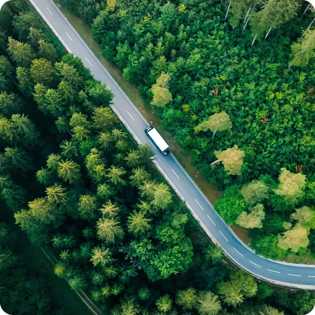LKW Carl Götz, Landstrasse, Bäume, Wald