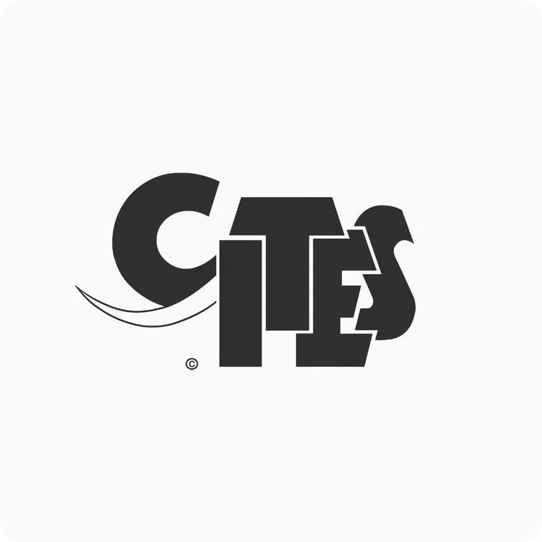 Cites