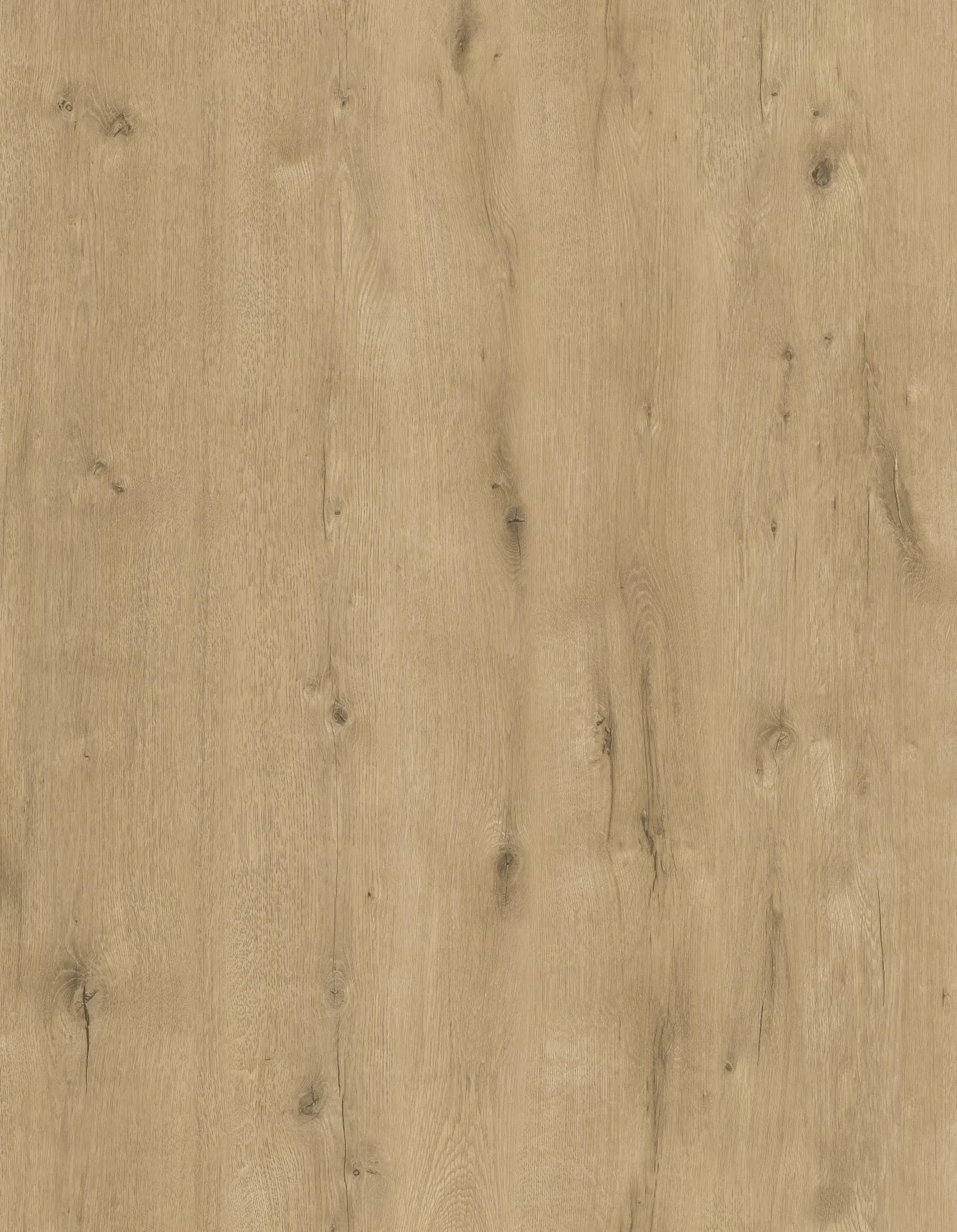 Bild Oberfläche / Detail Designboden Eiche Vivida Landhausdiele Lignova