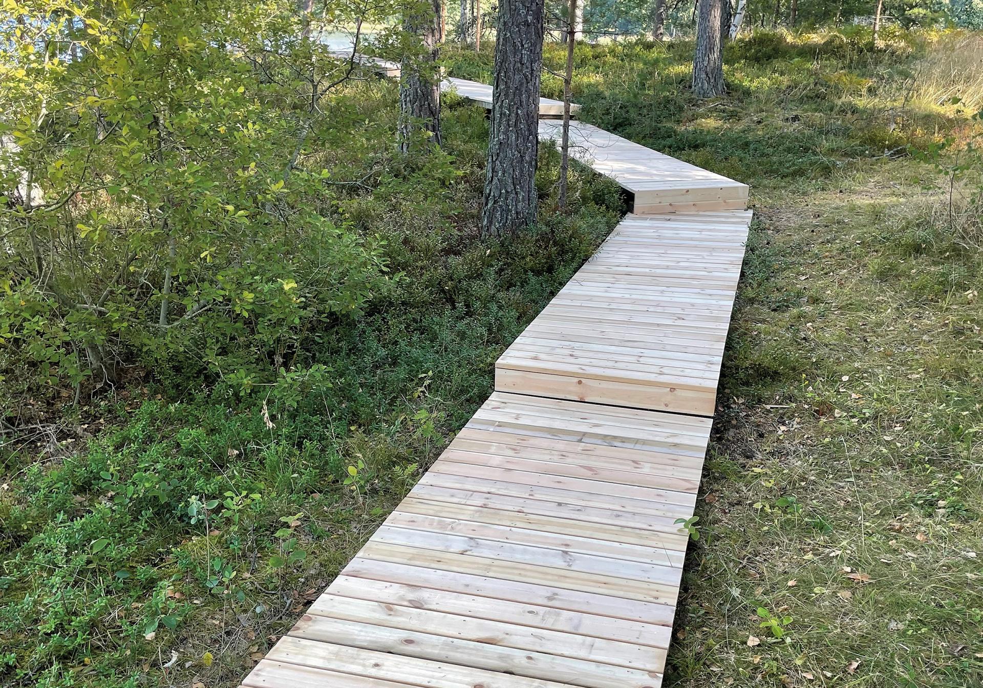 Bild Ambiente Terrassenbelag Kiefer schwedisch Holz Glatt / Glatt Organowood