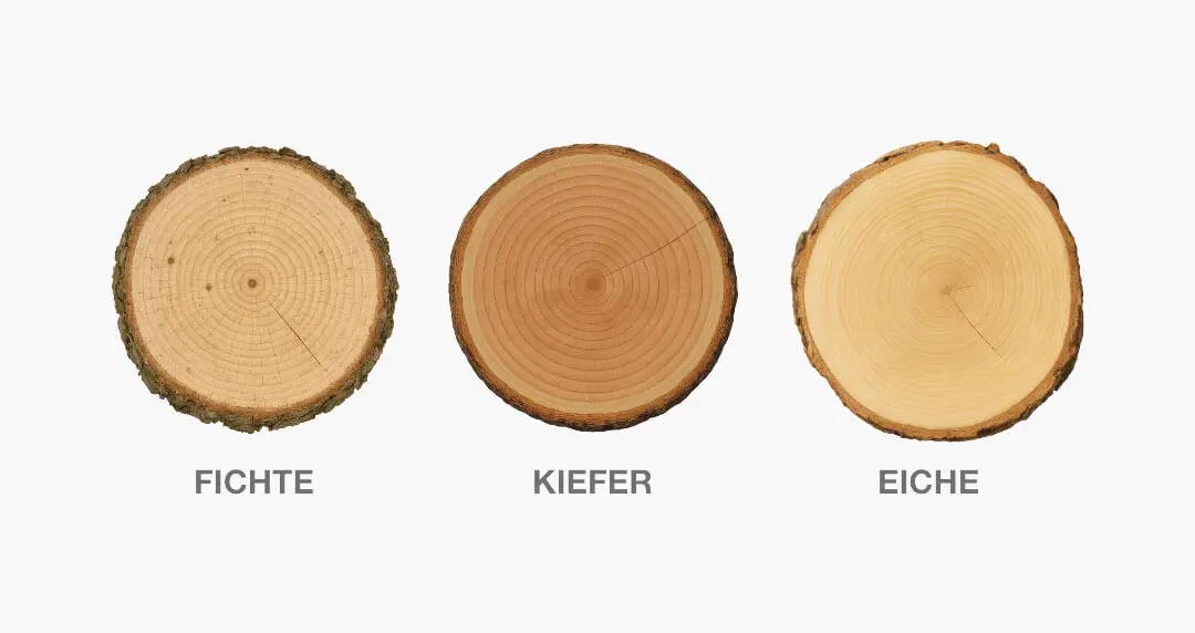 Holz Vergleich, Fichte, Kiefer, Eiche