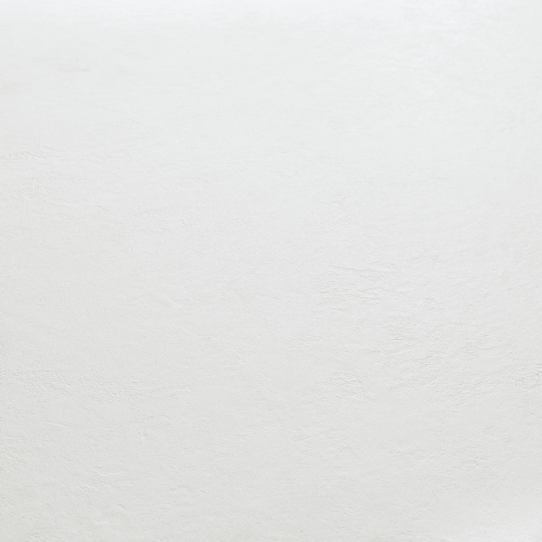 Bild Oberfläche / Detail Mineral-Wall MONO WHITE vollflächige Verklebung Ewifoam