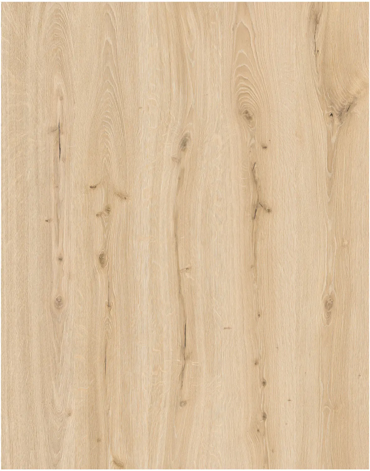 Bild Oberfläche / Detail Vinylboden Eiche sand Landhausdiele Synchronstruktur Barlinek