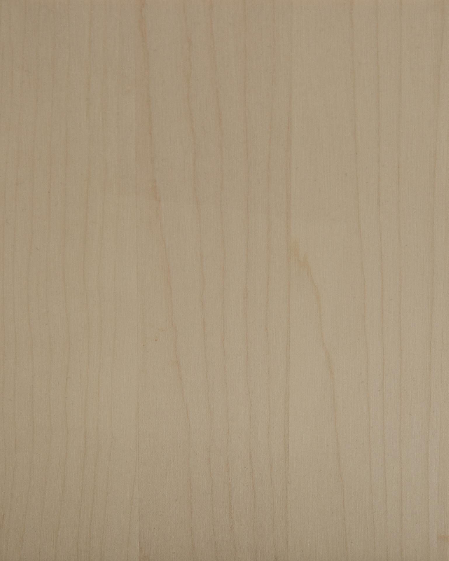 Bild Oberfläche / Detail Leimholzplatte Ahorn europäisch durchgehende Lamellen vorgeschliffen