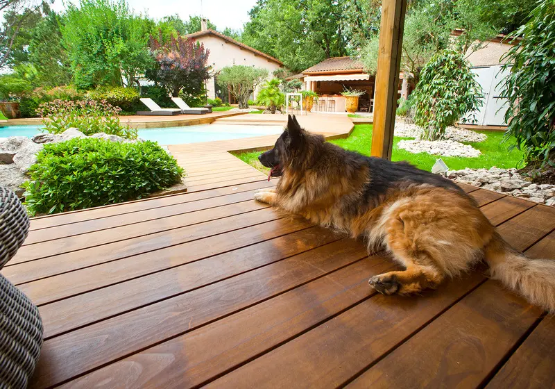 Bild Ambiente Terrassenbelag Radiata Pine (Kiefer) Holz Glatt Kebony
